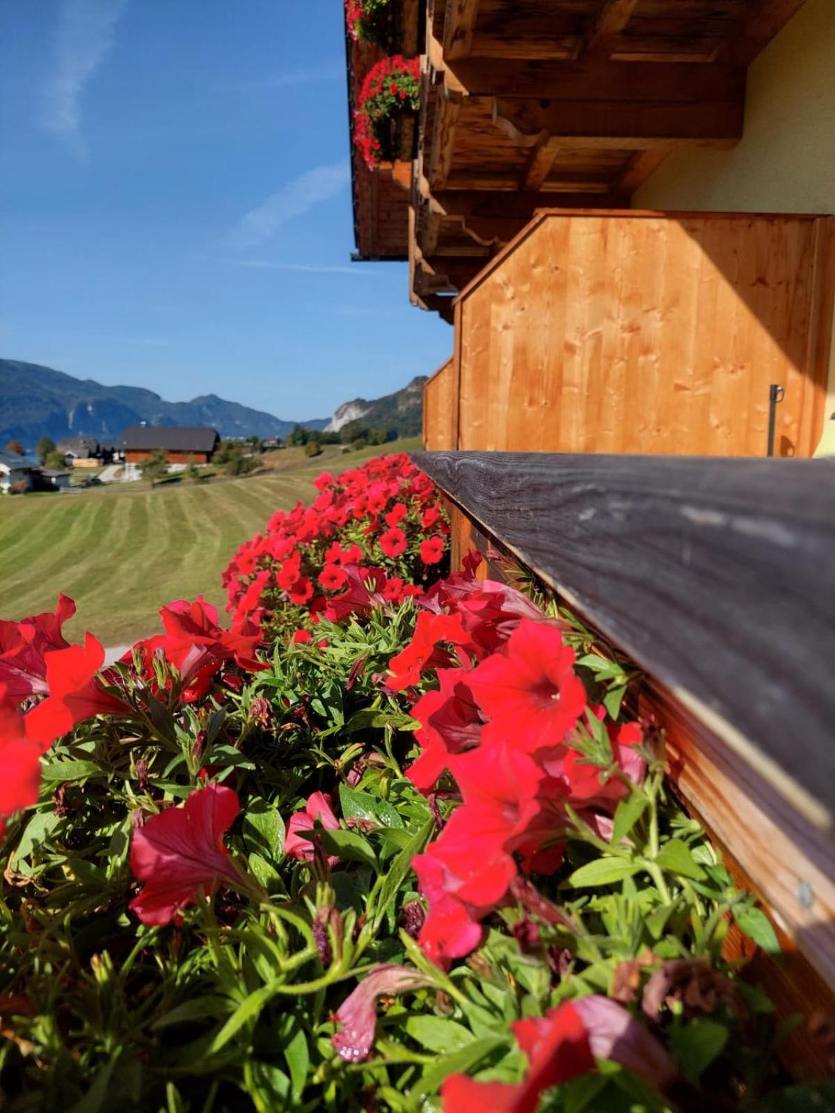 Haus Hoedlmoser Sankt Wolfgang im Salzkammergut Exterior photo